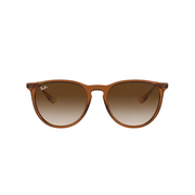 MARRON TRANSPARENTE | MARRON DEGRADE