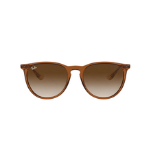 MARRON TRANSPARENTE | MARRON DEGRADE