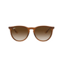 MARRON TRANSPARENTE | MARRON DEGRADE
