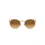 DORADO | MARRON DEGRADE
