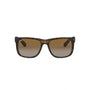 CAREY | MARRON DEGRADE