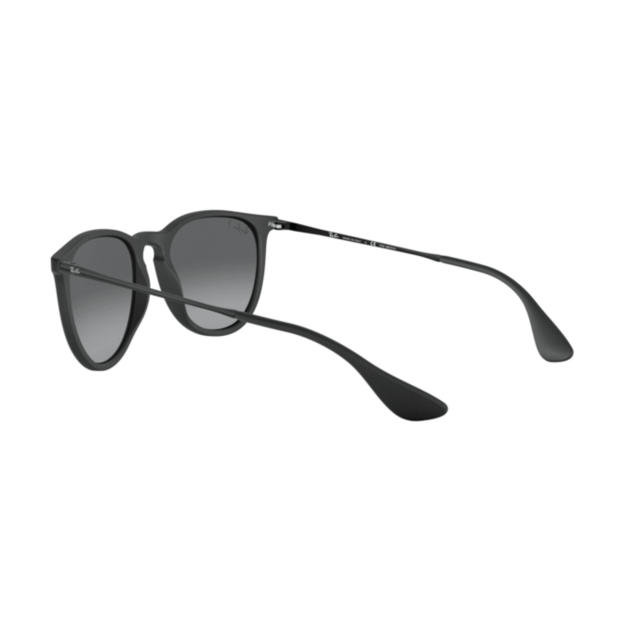 RB 4171 ERIKA®