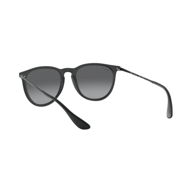 RB 4171 ERIKA®