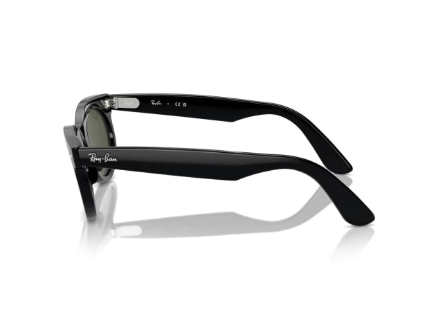 RB 2242 WAYFARER OVAL ®