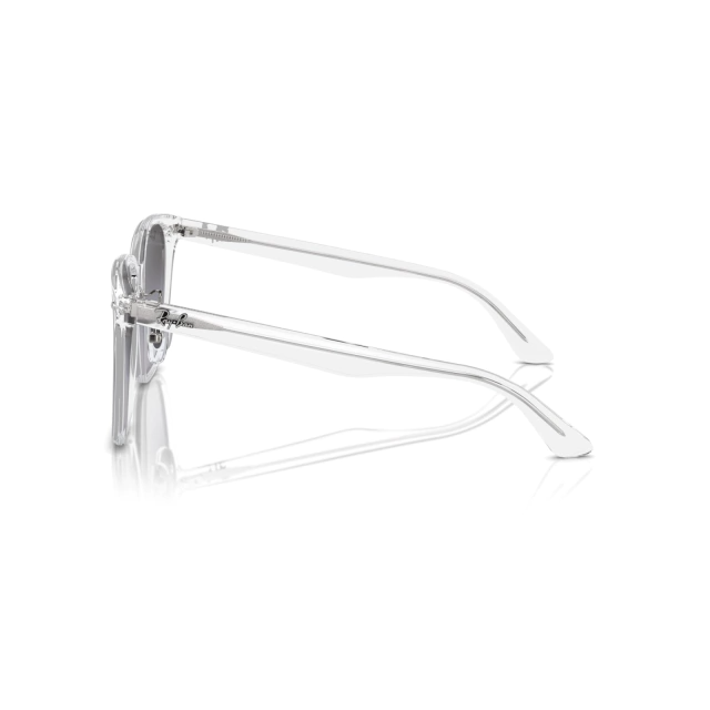 RB 2206D®