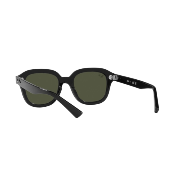 RB 4398 ERIK®