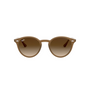 NATURAL | MARRON DEGRADE