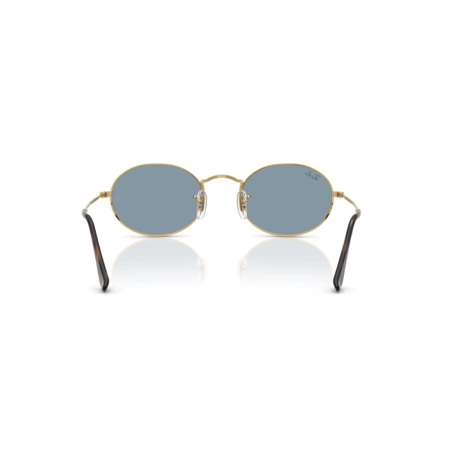 RB 3547N OVAL EVOLVE®