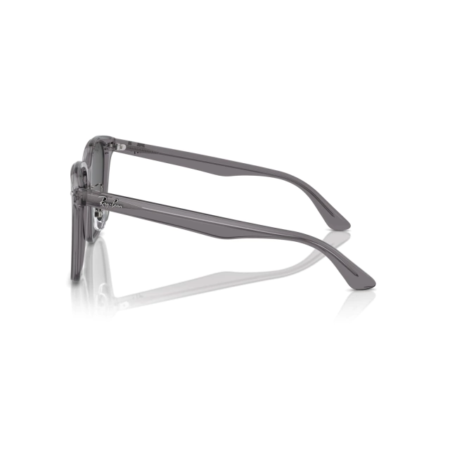 RB 2206D®