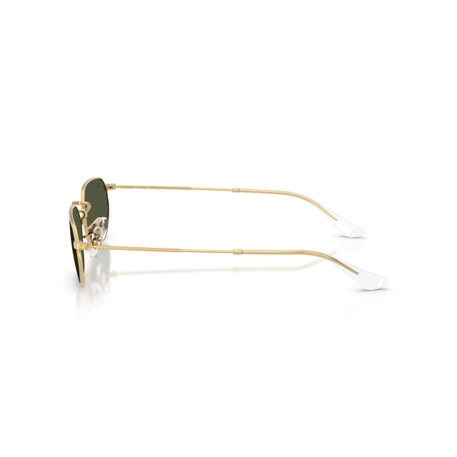 RB 3947 GAZE®