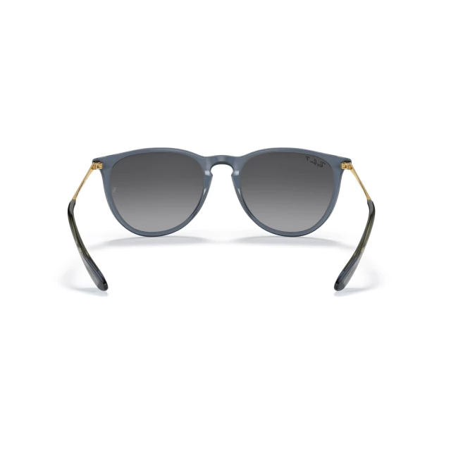 RB 4171 ERIKA MARCO TRANSPARENTE®