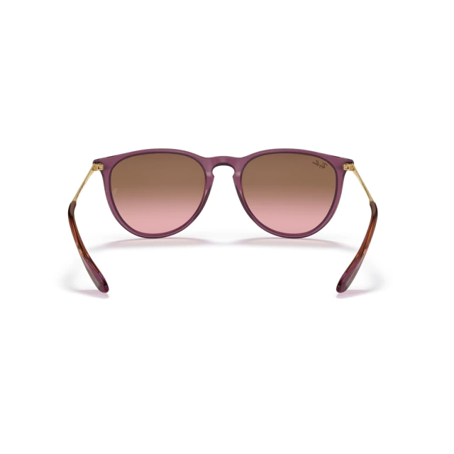 RB 4171 ERIKA MARCO TRANSPARENTE®