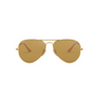DORADO | MARRON CLARO