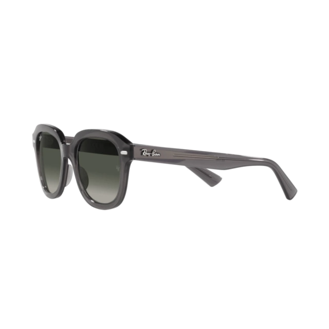RB 4398 ERIK®