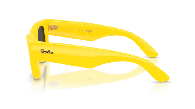 RB 4940 ASAP ROCKY WAYFARER®