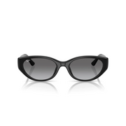NEGRO | GRIS DEGRADE
