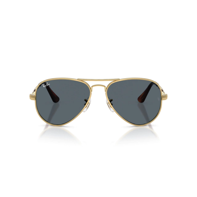 RB 3925 AVIATOR MAX®