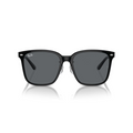 RB 2206D®