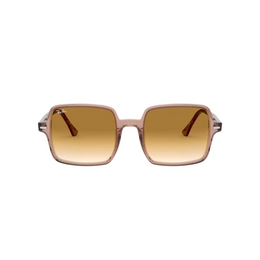 MARRON | MARRON DEGRADE
