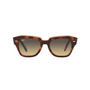CAREY | MARRON DEGRADE