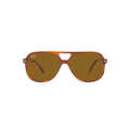 RB 2198 BILL®