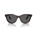 RB 2241 WAYFARER WAY®