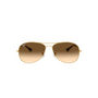 DORADO | MARRON DEGRADE