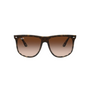 CAREY | MARRON DEGRADE