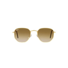 DORADO | MARRON DEGRADE