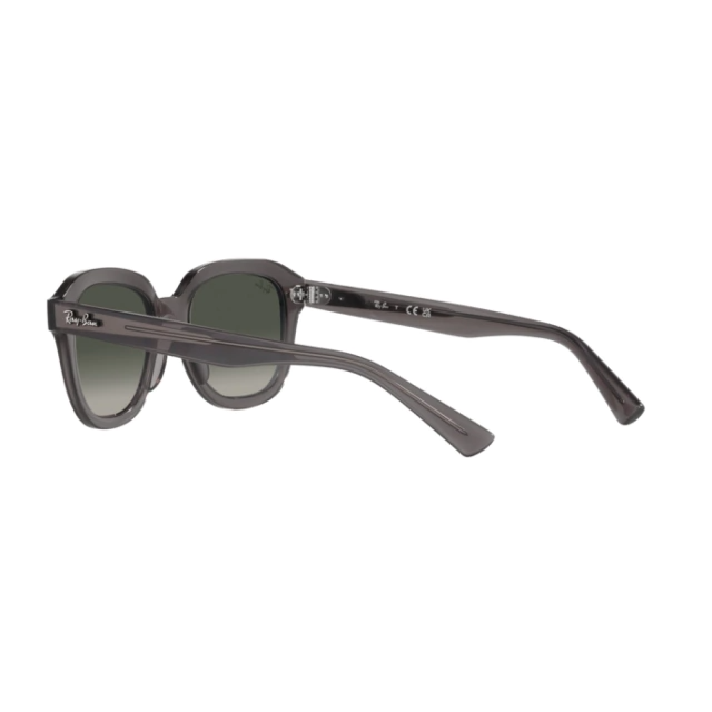 RB 4398 ERIK®