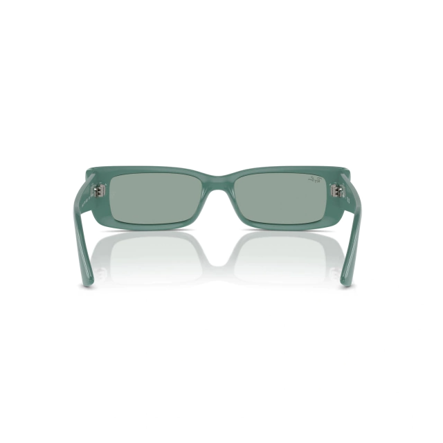RB 4425 TERU BIO BASSED®