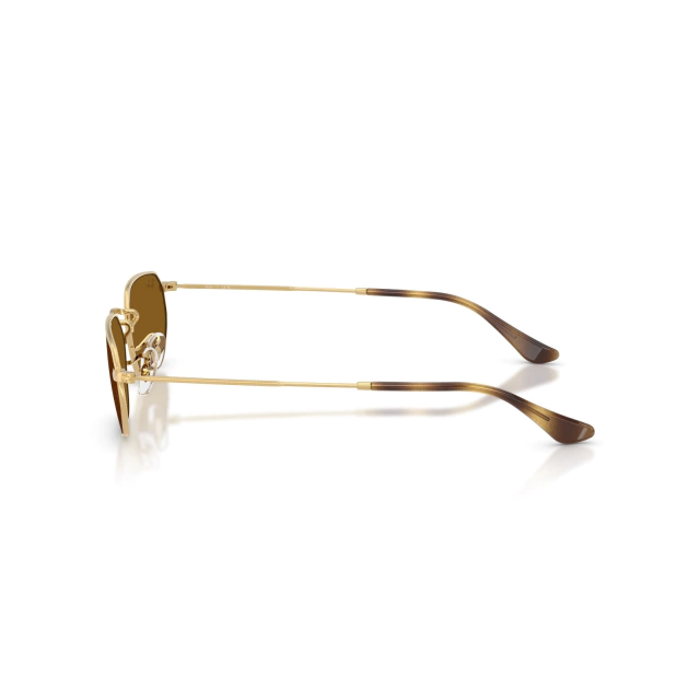 RB 3947 GAZE®
