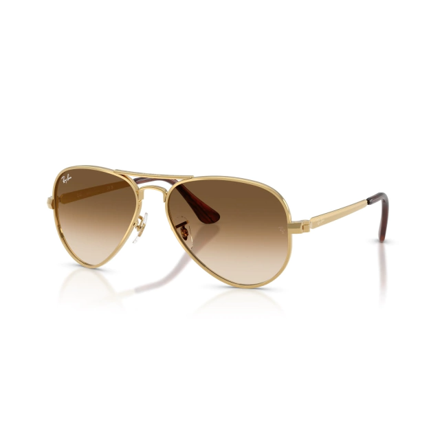 RB 3925 AVIATOR MAX®
