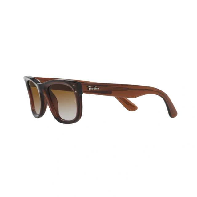 RAY BAN 0502S WAYFARER REVERSE®