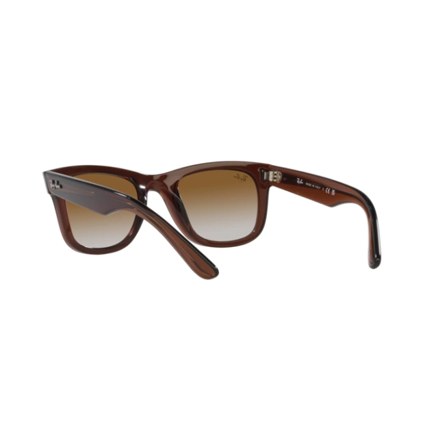 RAY BAN 0502S WAYFARER REVERSE®