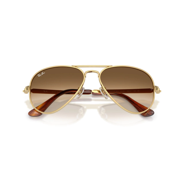 RB 3925 AVIATOR MAX®