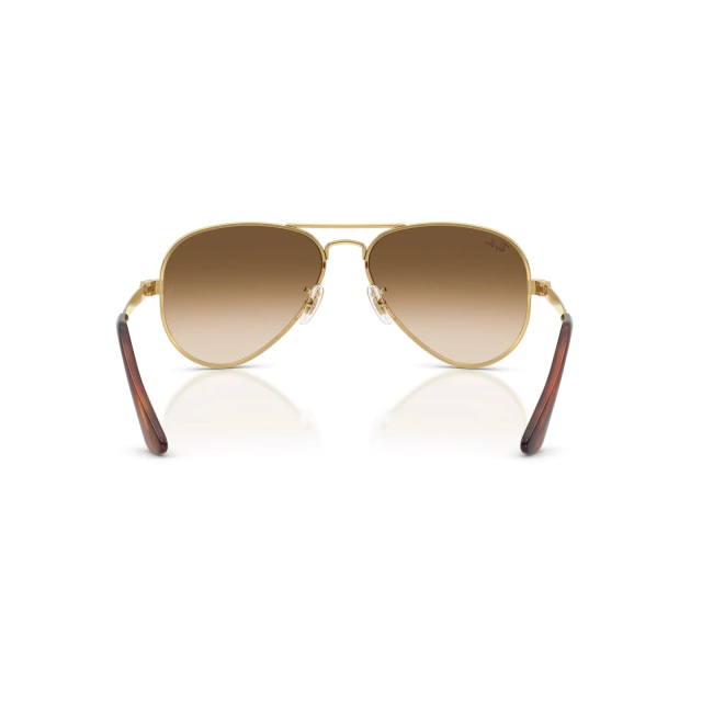 RB 3925 AVIATOR MAX®