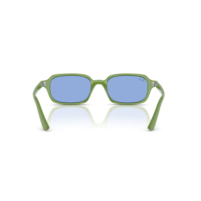 RB 4455 ZURI BIO-BASSED®