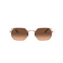 BRONCE | MARRON DEGRADE