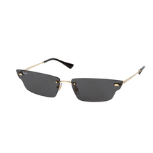 RB 3731 ANH BIO BASSED®