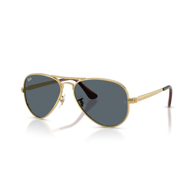 RB 3925 AVIATOR MAX®