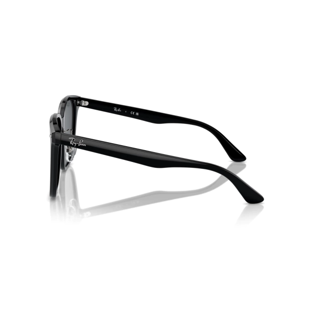 RB 2206D®