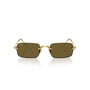 DORADO | MARRON LISO