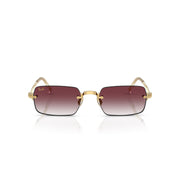DORADO | PURPURA DEGRADE