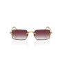 DORADO | PURPURA DEGRADE