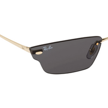RB 3731 ANH BIO BASSED®