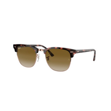 CAREY DORADO | MARRON DEGRADE