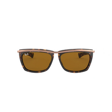 DORADO | MARRON