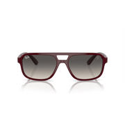 BORDO | AZUL DEGRADE