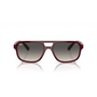 BORDO | AZUL DEGRADE